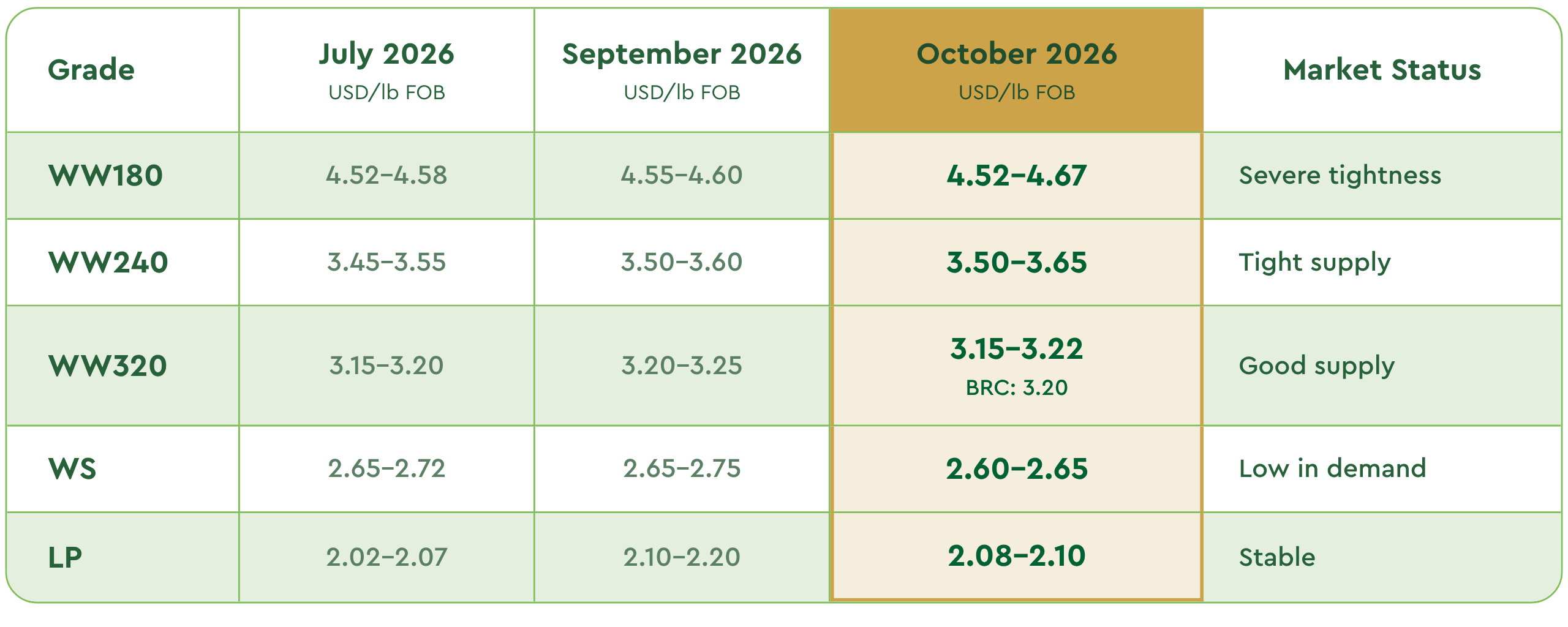 Cashew Market Report October 2026