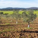 Soil health