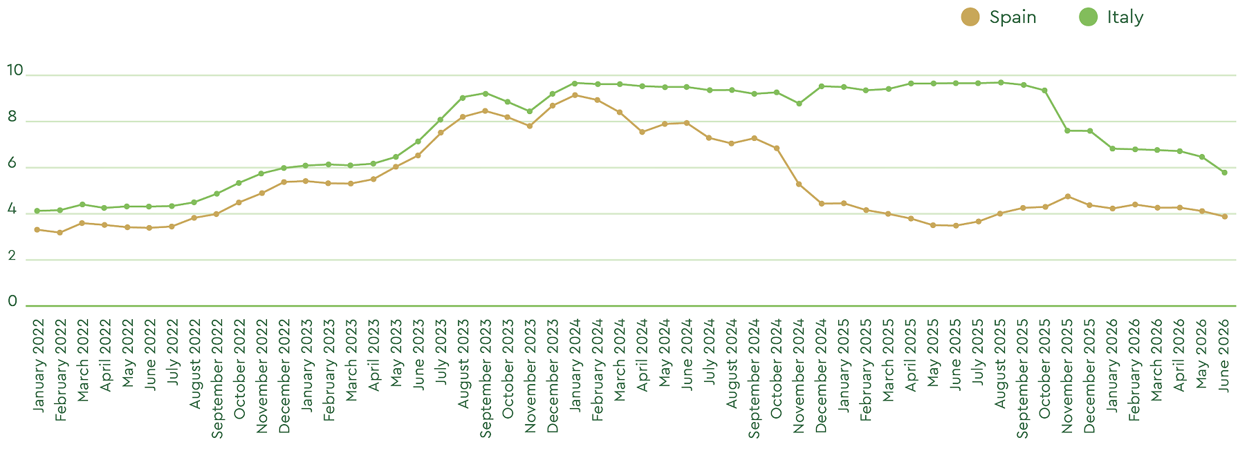 Olive Oil Market Report