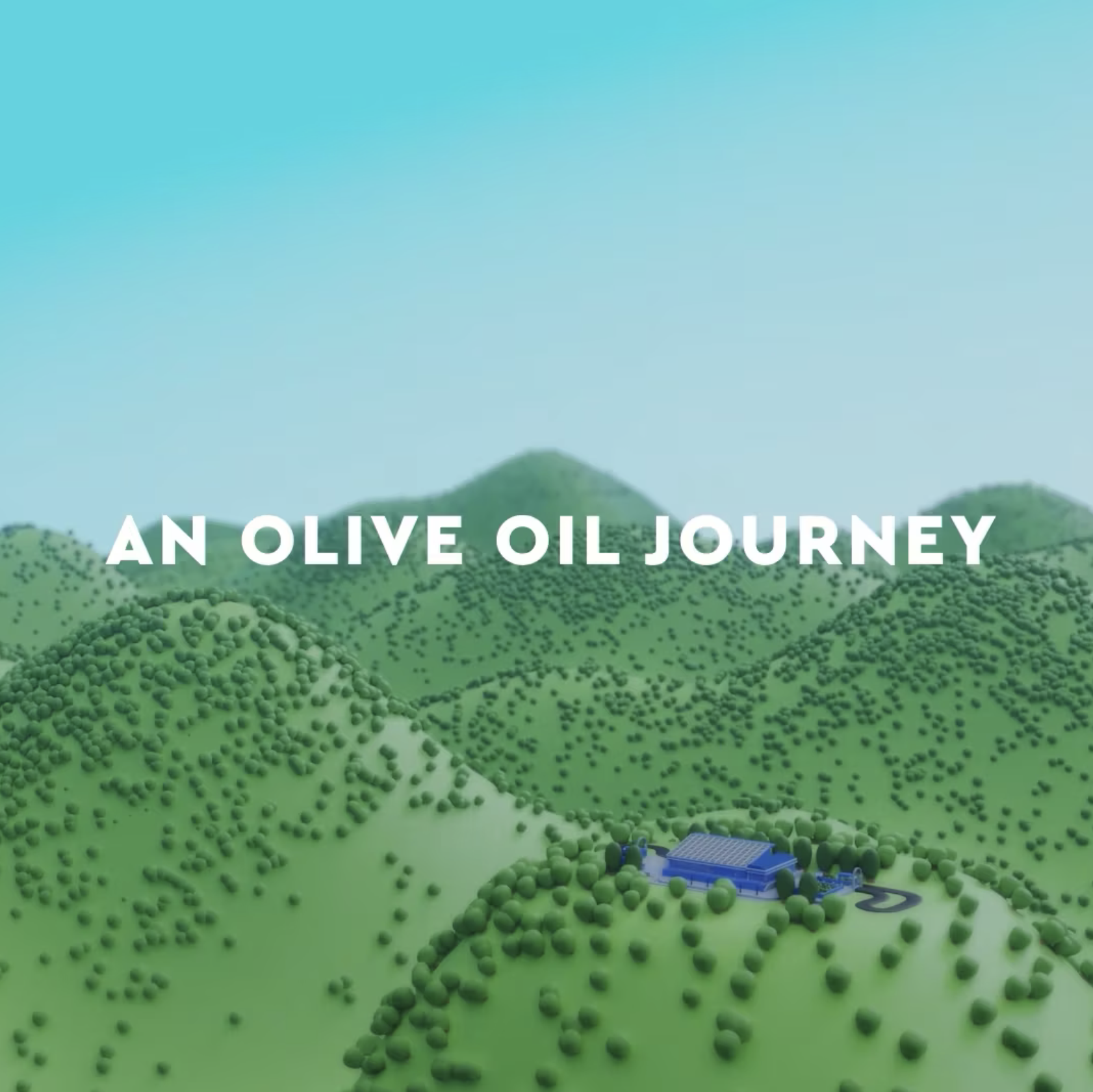 Certified Origins - An Olive Oil Journey - Video