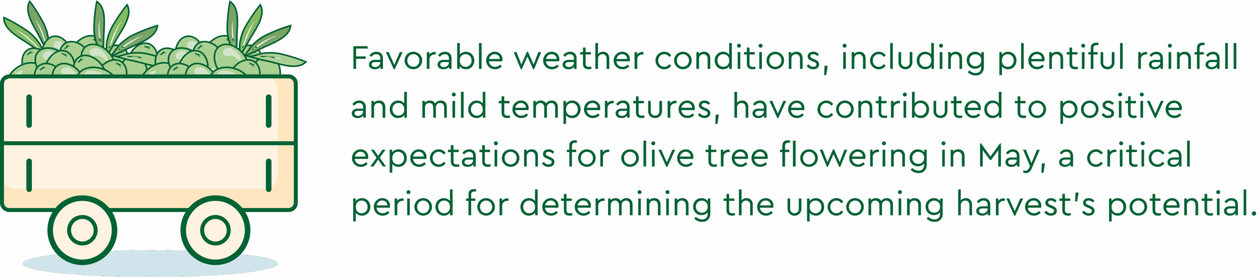 Olive Oil Market Report