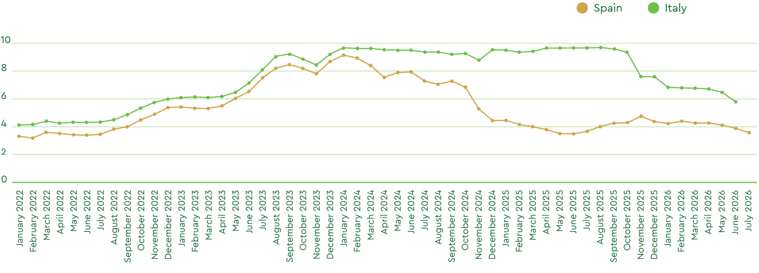 July Olive Oil Market Report