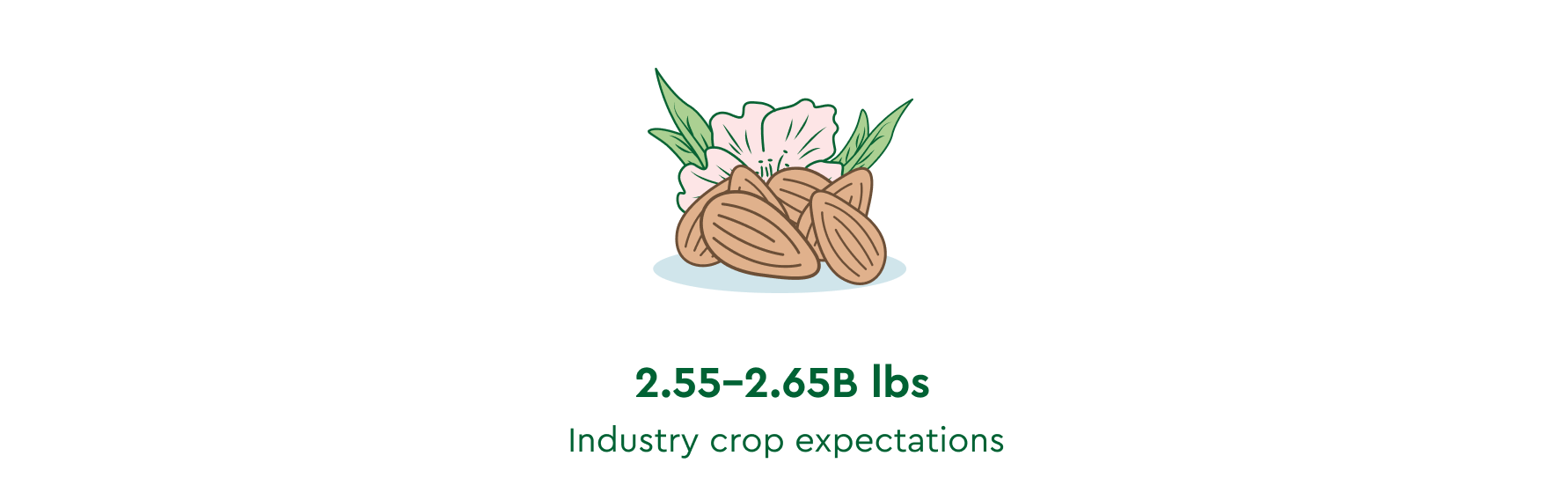 almond market report