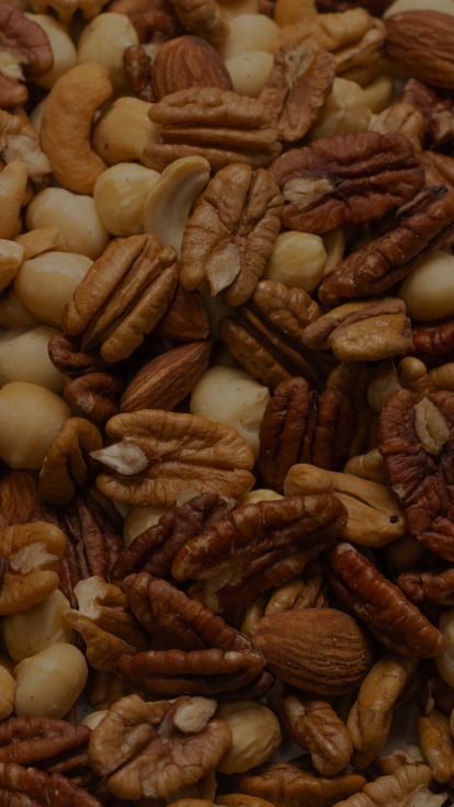 Certified Origins olives on olive tree in Italy