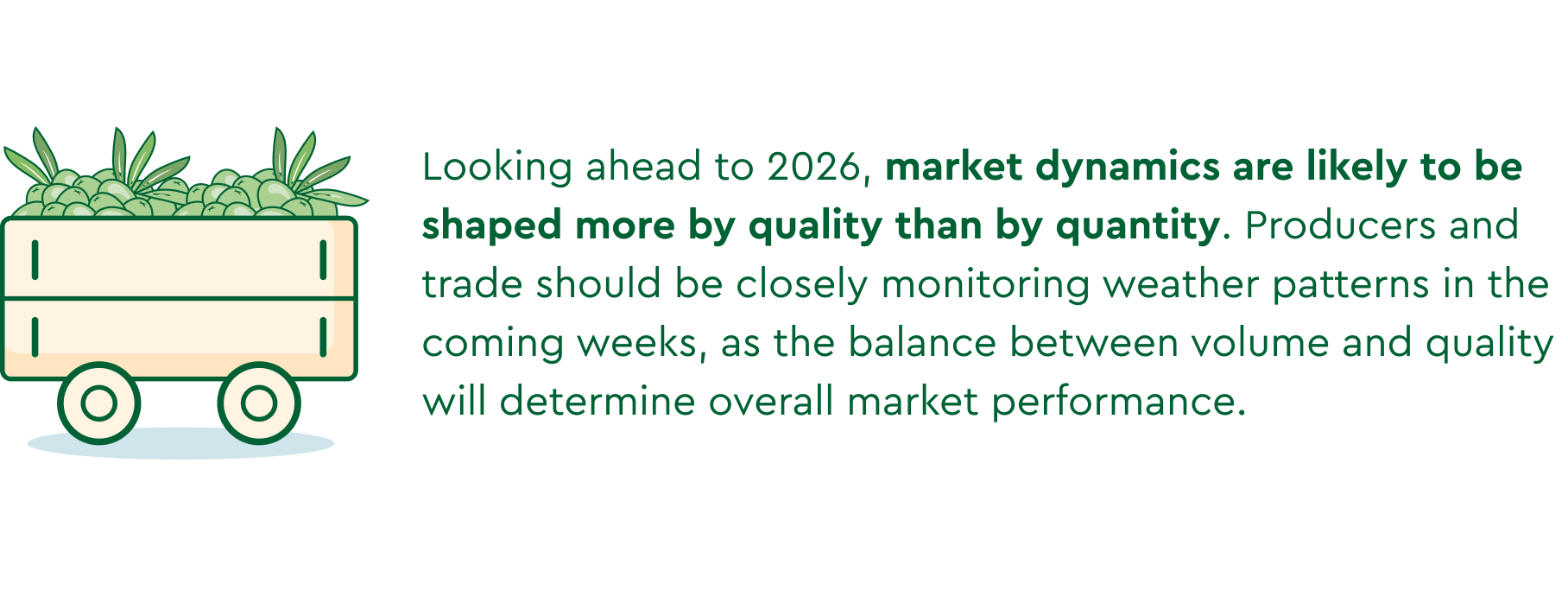 Olive Oil Market Report