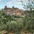 Toscano PGI Extra Virgin Olive Oil Consortium