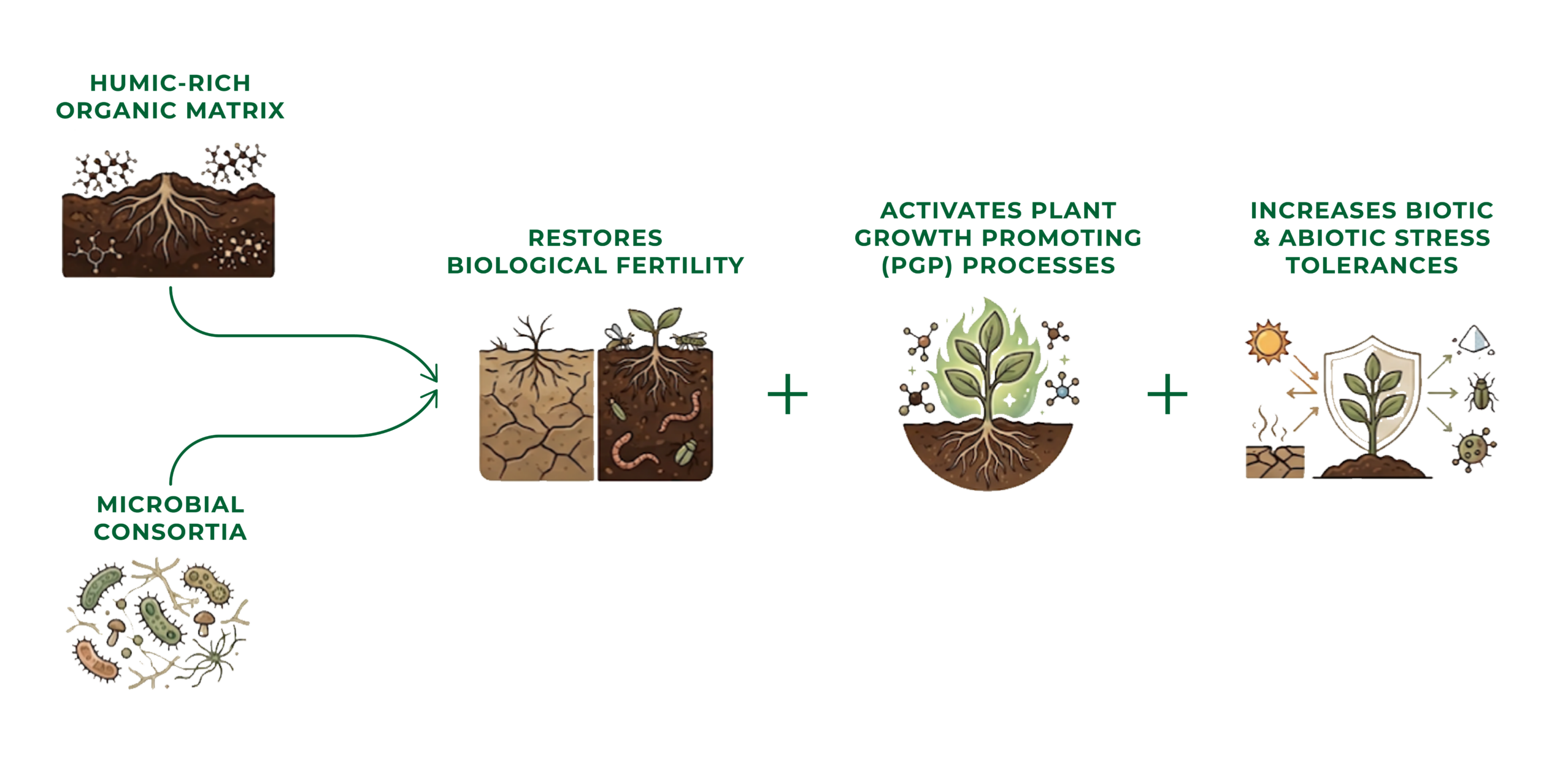 carbon farming