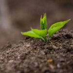 Carbon farming